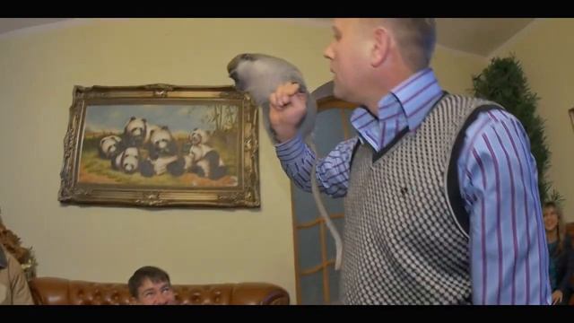 Ариолла Те и этот смотреть онлайн