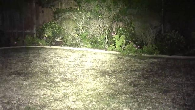 ThruNite Archer 1C V2 - Archer 1A V2 Flashlight Review