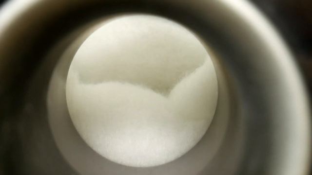 Focal  Chorus 807V Speaker Disassembly