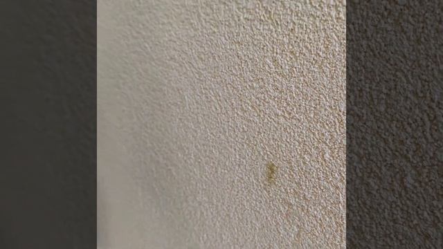 ЗАГРЯЗНЕНИЯ И ПЯТНА НА ФАСАДЕ ДОМА - ЧЕМ МОЖНО ОТМЫТЬ? смотреть онлайн