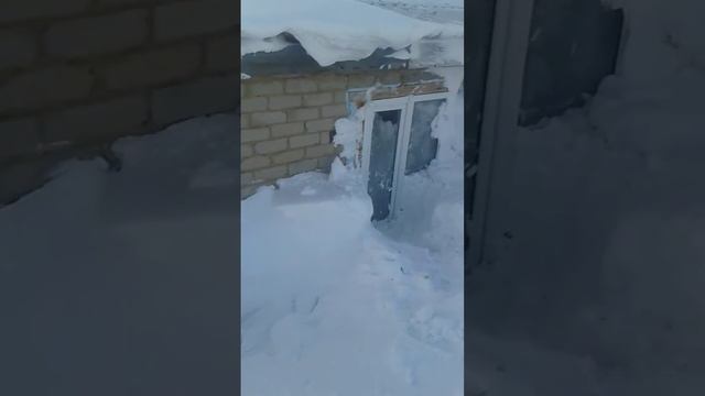 П ЩЕРБАКТЫ дети неделю не ходят в школу .Родители ходят на работу через окно.ул Новоселова 13кв2 смотреть онлайн