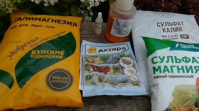 Удобрения для роз во второй половине лета. смотреть онлайн