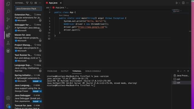 How to add Microsoft's Java Extension Pack in Visual Studio Code application смотреть онлайн