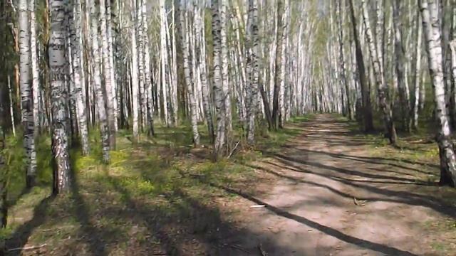 Прогулка на велике 1 Томск смотреть онлайн