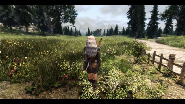 Skyrim SE Ultra modded 2020 - Semirealis ENB + Obsidian смотреть онлайн