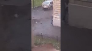 Люди целуются на улице фу фу фу