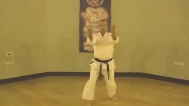 Tom Hills Karate Dojo Goju Kata Kihon Dachi basic stances for beginners