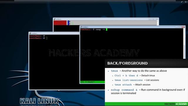 009 Управляем процессами администрирования в Кали Линукс | Kali Linux смотреть онлайн
