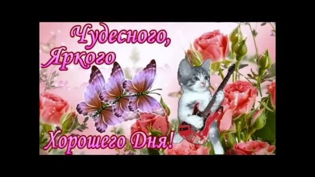 ДОБРОГО ДНЯ!? ПРЕКРАСНОГО ДНЯ!? КРАСИВАЯ МУЗЫКАЛЬНАЯ ОТКРЫТКА! смотреть онлайн
