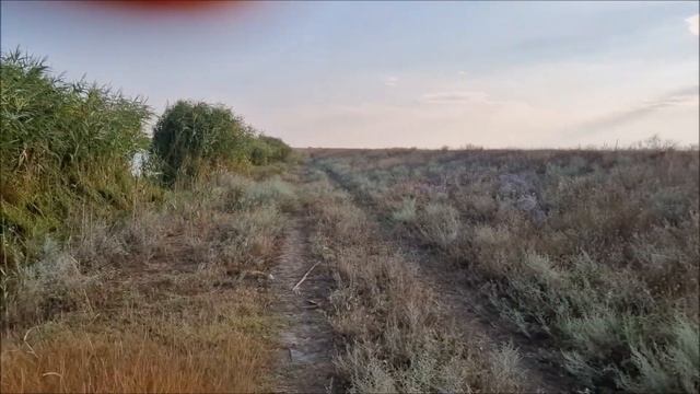 Канал Дунай-Сасык. Утренняя рыбалка на БАМе. Я в качестве контролера-наблюдателя)))