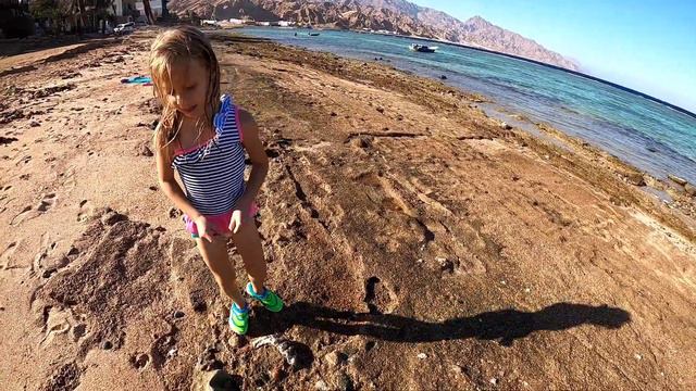 Путешествие Вики в Египте. смотреть онлайн