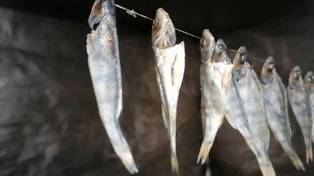 Вкусные рецепты рыбы