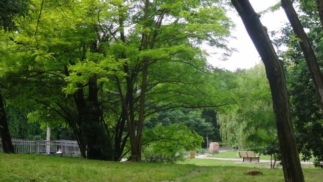 Июнь. Прощальный вальс. Поёт Engelbert Humperdinck. смотреть онлайн