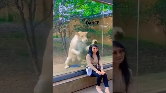За стеклом смотреть онлайн