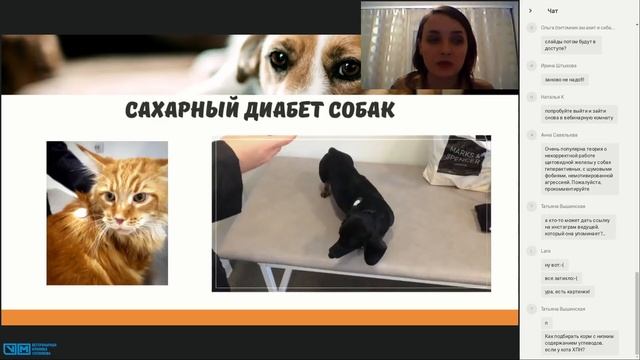 Эндокринология. Просто о сложном