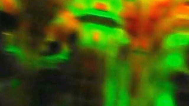 В Галилео 5/in Galileo смотреть онлайн