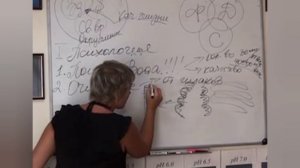 Инструкция к телу, которую мы должны были получить при рождении.