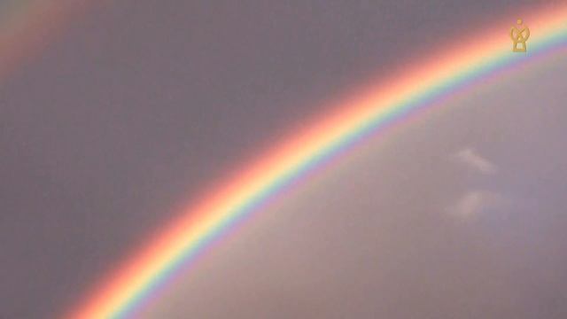 Жизнь, зачем ты мне дана? смотреть онлайн