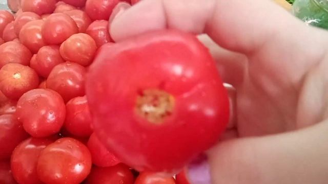 УСПЕЙТЕ ЗАГОТОВИТЬ Маринованные ПОМИДОРЫ с МОРКОВНОЙ БОТВОЙ | Этих Томатов Всегда МАЛО!!! смотреть онлайн