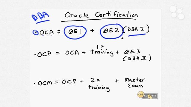 Introductory Nugget: Oracle Database 11g SQL Fundamentals 1 1Z0-051 смотреть онлайн