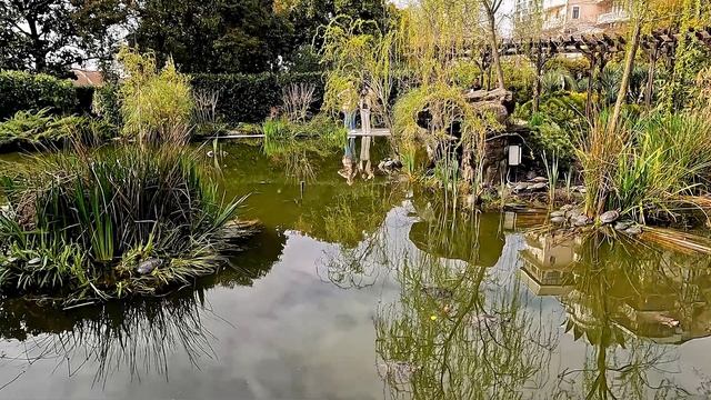 Сочи-23_День седьмой