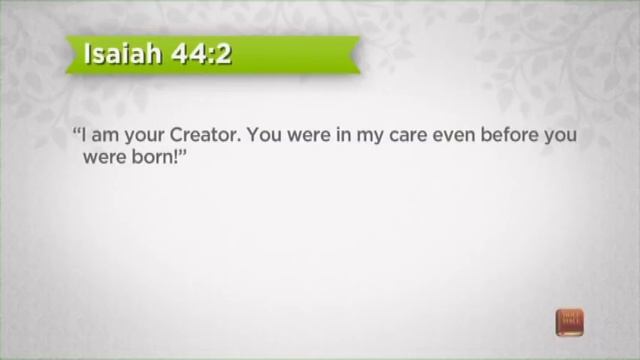 What On Earth Am I Here For? Pt. 1 | Pastor Rick's Daily Hope смотреть онлайн