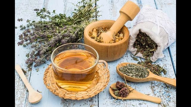 ЛЕКАРСТВЕННЫЕ РАСТЕНИЯ ПРИ ЗАБОЛЕВАНИЯХ ЖЕЛУДОЧНО КИШЕЧНОГО ТРАКТА смотреть онлайн