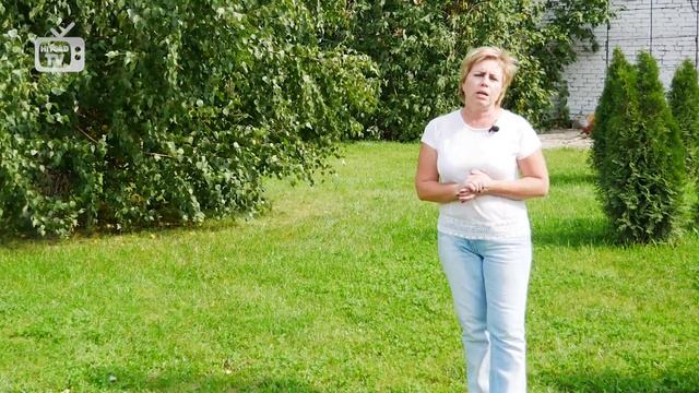 Подготовка газона к зиме ✅ Газон осенью ✅ смотреть онлайн