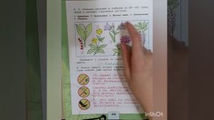 3 класс. ГДЗ. Окружающий мир. Рабочая тетрадь.Часть 1. Плешаков. Страницы 47-49. С комментированием