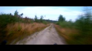 Велотрасса №1. Синий уровень сложности. Веломаршруты Ленинградской области.