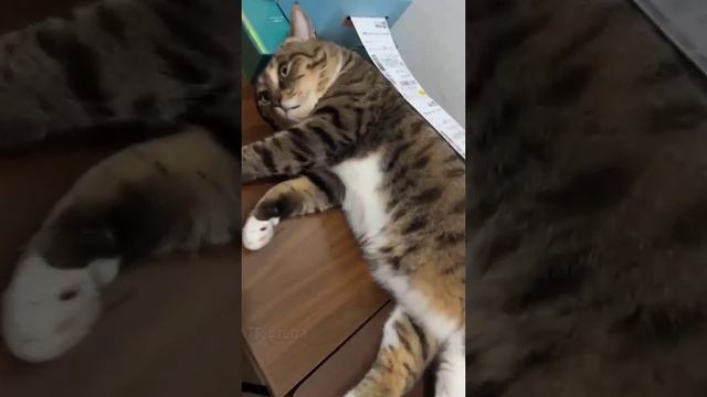 Работник месяца смотреть онлайн