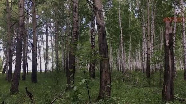 СБОРНИК ЛУЧШИХ ИСТОРИЙ ОТ NOSFERATU | 2021 | ЧАСТЬ 1