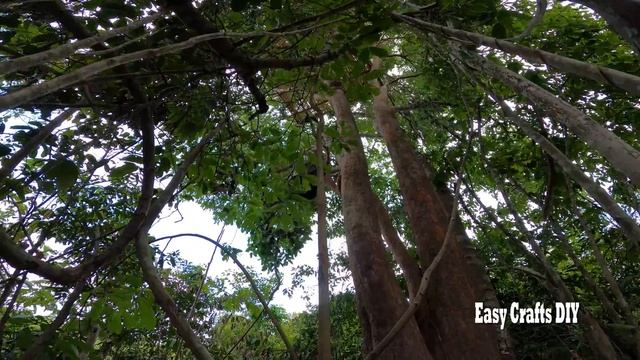Build The Most Beautiful Tree bamboo villa in Deep Jungle смотреть онлайн
