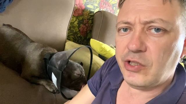 день второй у МАСИ опухли веки смотреть онлайн