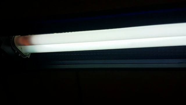 CFL Camelion 11w EOL смотреть онлайн