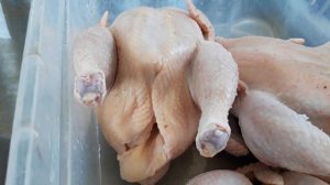 Какого бройлера выгоднее выращивать..