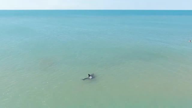 Анапа. Станица Благовещенская // DJI CINEMATIC FULL HD смотреть онлайн