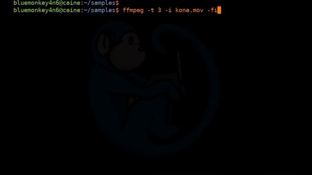 CAINE - 12 - ffmpeg - multimedia framework for audio and video processing смотреть онлайн