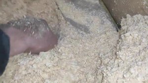 Утепление потолка опилками! Самое лучшее и дешевле!!! нет плесени и влаги. Смотреть всем!!!!