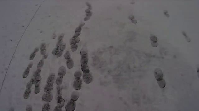 fishing in private lakes in winter. Ловля рыбы зимой сетями на частном водоем. смотреть онлайн