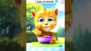 ▶ Кот Рыжик разговаривает Ешь со мной! ! Прикол! Talking Ginger!   YouTube 360p