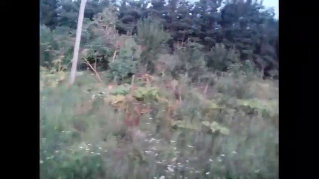Вывозим мусор|Wózki śmieci смотреть онлайн