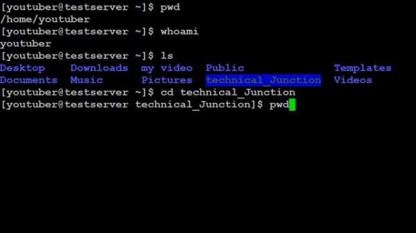 How to use pwd command in Linux
