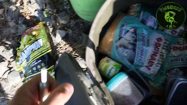 БАГАЕВКА 26-27.08.2023 смотреть онлайн