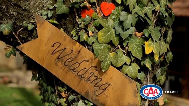 Plan Your Dream Destination Wedding with CAA Travel смотреть онлайн