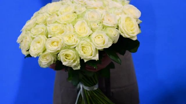 Букет из 69 белых российских роз смотреть онлайн