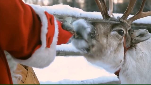 В гости к Йоулупукки смотреть онлайн