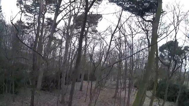 Forest Drone Mission-SYMA X8C смотреть онлайн