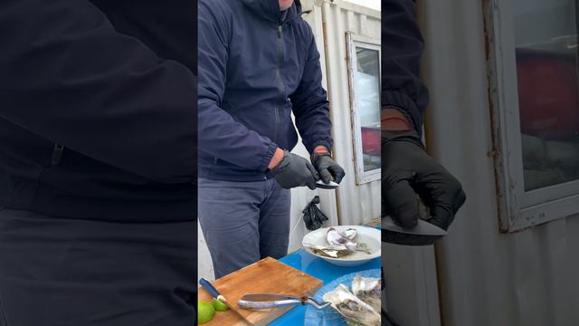 устрицы из Владивостока в Анапе смотреть онлайн