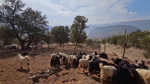 Baking Local Bread at Grandma's Farm смотреть онлайн
